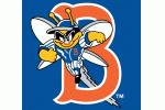 Binghamton Mets