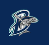 Bridgeport Bluefish