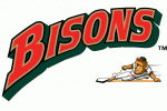 Buffalo Bisons