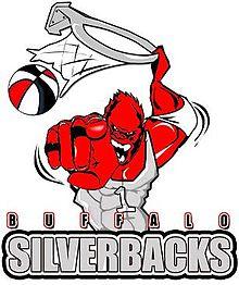 Buffalo Silverbacks