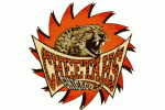 Chicago Cheetahs