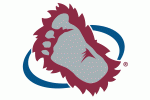 Colorado Avalanche