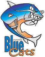 Evansville Bluecats