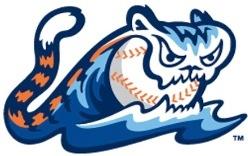 West Michigan Whitecaps