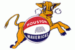 Houston Mavericks