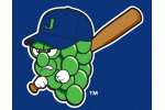 Jamestown Jammers