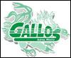 Juarez Gallos de Pelea