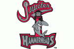 Jupiter Hammerheads