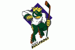 Anaheim Bullfrogs