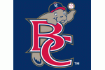 Brevard County Manatees