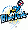 Brevard Blue Ducks