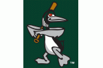 Great Lakes Loons