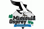 Missoula Osprey