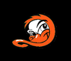 Long Island Ducks