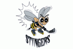 New England Stingers