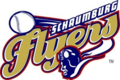 Schaumburg Flyers