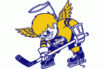 Minnesota Fighting Saints