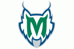 Minnesota Lynx