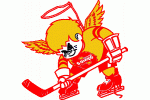 Minnesota New Fighting Saints