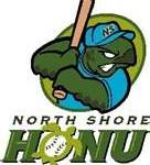 North Shore Honu