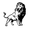 Washington Lions