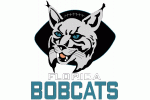 Florida Bobcats