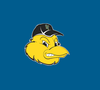 Sioux Falls Canaries