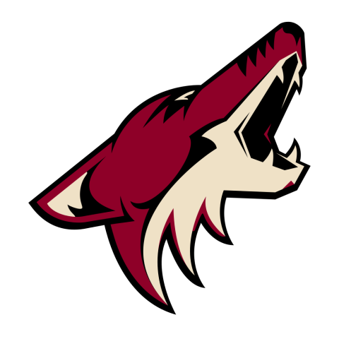 Arizona Coyotes