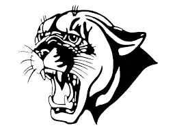 Alamo Navajo Cougars