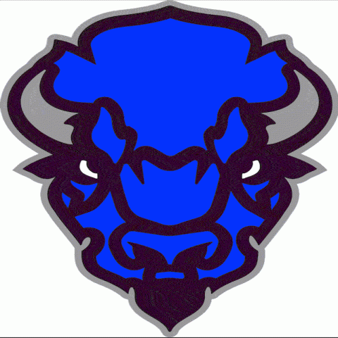 Bedford Bison