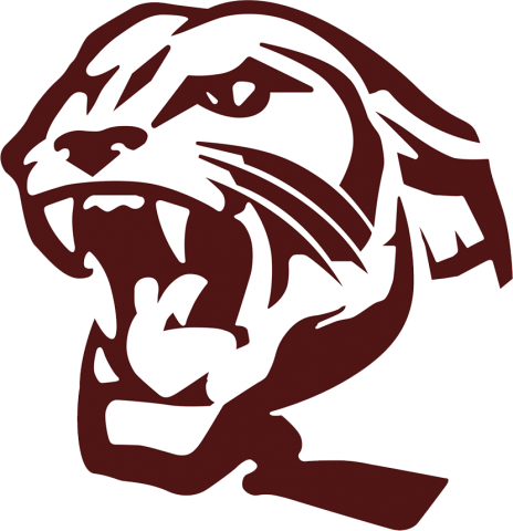 Benton Panthers