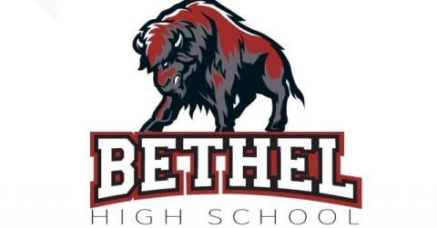 Bethel Bison