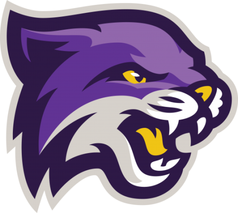 Bethel University Wildcats