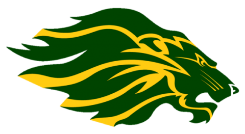 Borah Lions