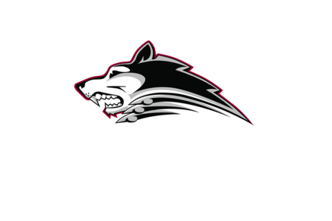 Bozeman Icedogs