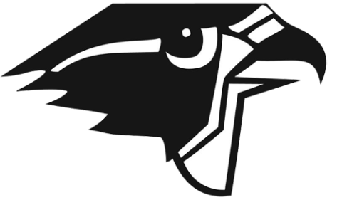 Burlington Township Falcons