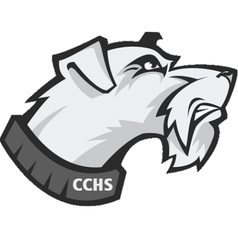 Carbondale Terriers