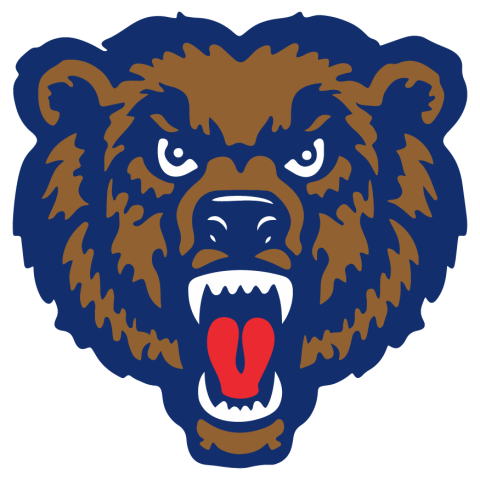 Danville Bears