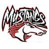 Deary Mustangs