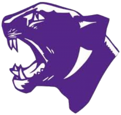 Delavan Panthers