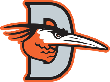 Delmarva Shorebirds