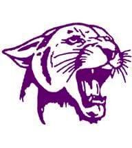 Ellsworth Panthers