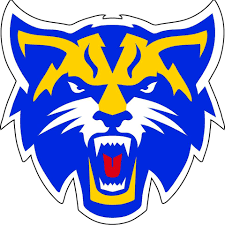 Galva Wildcats