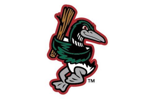 Great Lakes Loons