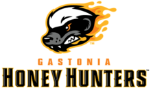 Gastonia Honey Hunters