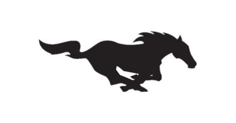 Houston Mustangs