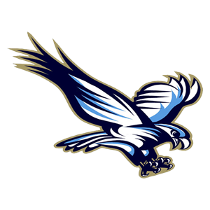 Liberty Falcons