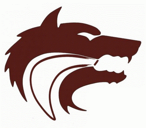 Lincoln Wolves