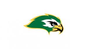 Ben Lippen Falcons