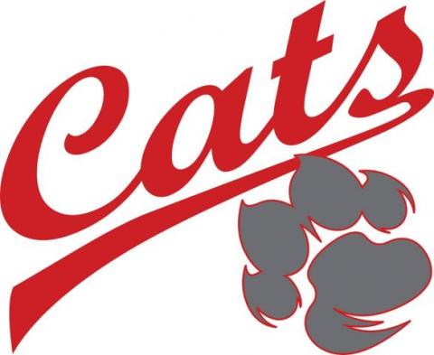 Madison Bobcats